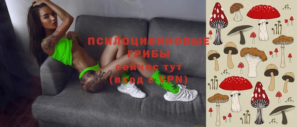 амф Алзамай