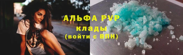 стафф Алексин