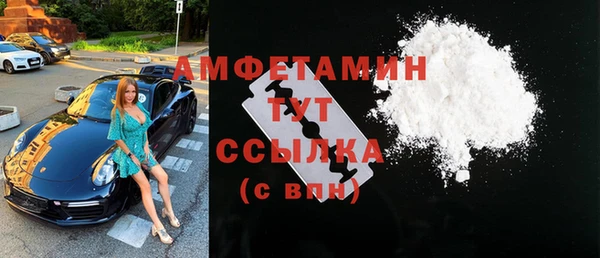 амф Дмитров