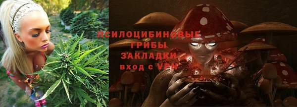 стафф Алексин