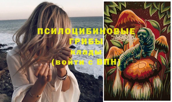 амф Алзамай