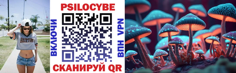 Галлюциногенные грибы Psilocybine cubensis Макушино